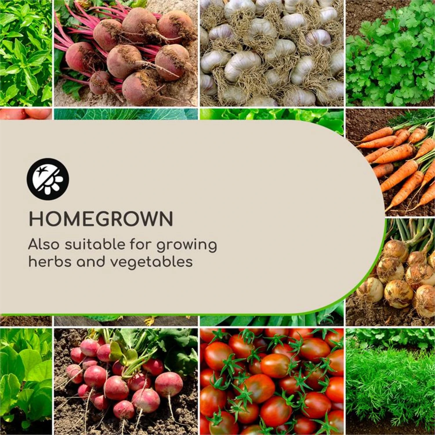 Solid Grow Rust Pflanzgefäß 80 X 38 X 38 Cm Fibreclay Rostfarben 5 Solid Grow Rust Pflanzgefäß 80 X 38 X 38 Cm Fibreclay Rostfarben – Bild 3