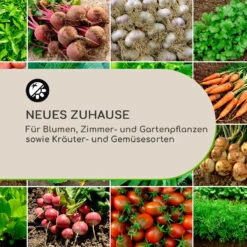 Winegrow Pflanzgefäß 52,5 X 31,5 Cm (ØxH) Leicht Fibreclay Grau 12 Winegrow Pflanzgefäß 52,5 X 31,5 Cm (ØxH) Leicht Fibreclay Grau -Gartenbedarf Geschäft 10034811 de 0003 logo