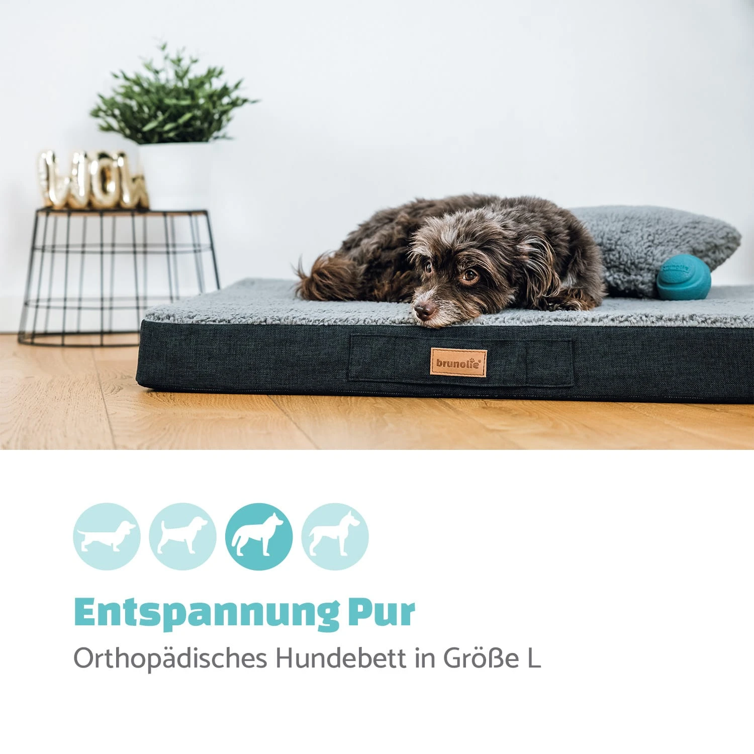 Balu Hundebett Waschbar Orthopädisch Rutschfest Memory-Schaum Größe L 4 Balu Hundebett Waschbar Orthopädisch Rutschfest Memory-Schaum Größe L – Bild 2