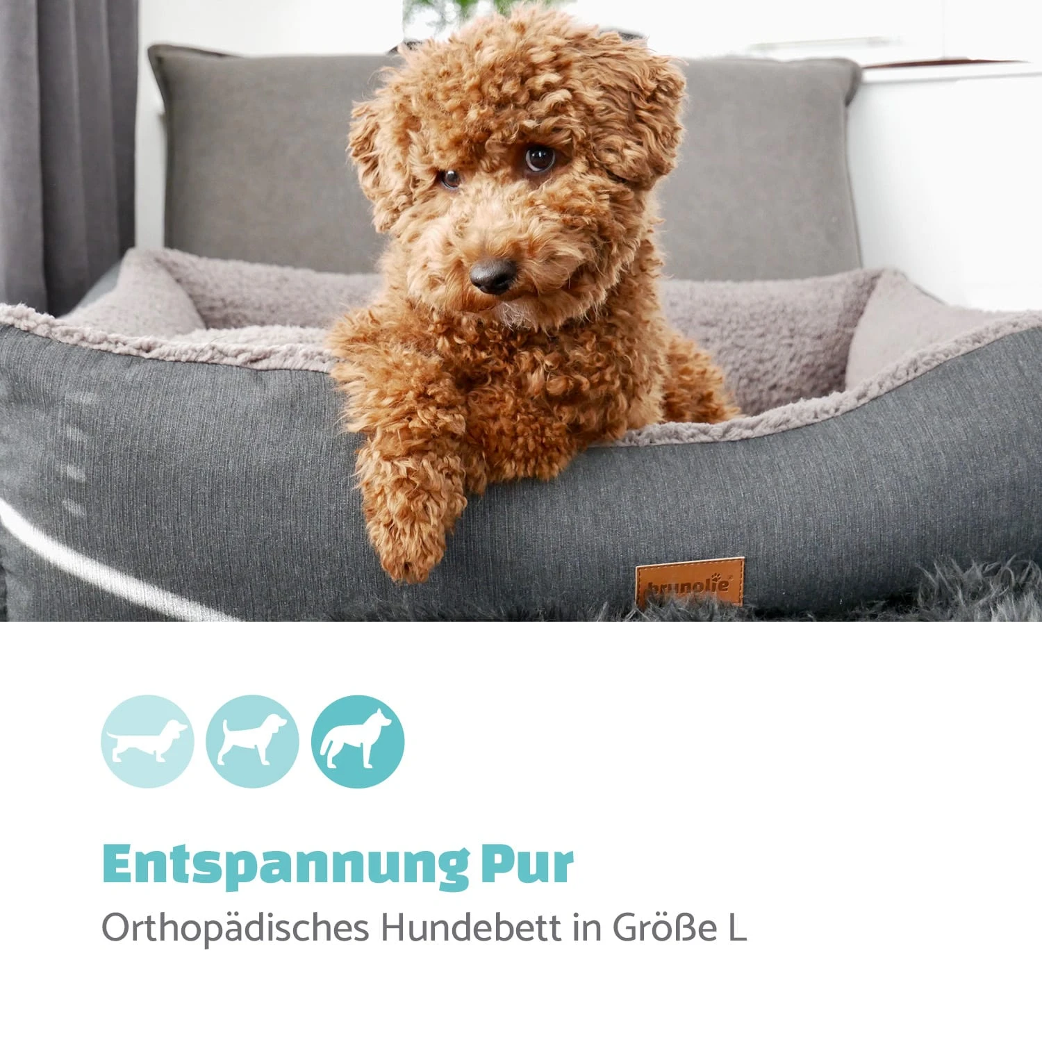 Emma Hundebett Hundekorb | Waschbar | Rutschfest | Atmungsaktiv | Wendematratze | Kissen | Größe L (100 X 30 X 90 Cm) 4 Emma Hundebett Hundekorb | Waschbar | Rutschfest | Atmungsaktiv | Wendematratze | Kissen | Größe L (100 X 30 X 90 Cm) – Bild 2