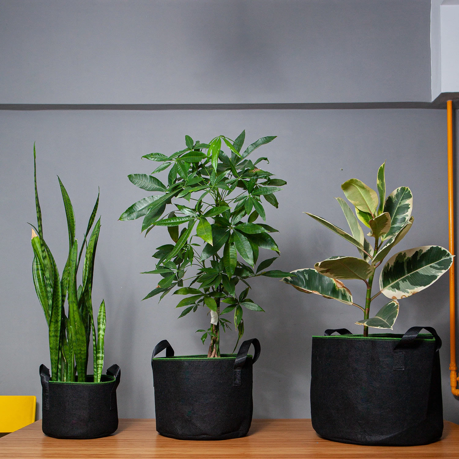 Pflanzsack Set 5 Stück 40 Liter Vlies Mit Henkeln 4 Pflanzsack Set 5 Stück 40 Liter Vlies Mit Henkeln – Bild 2