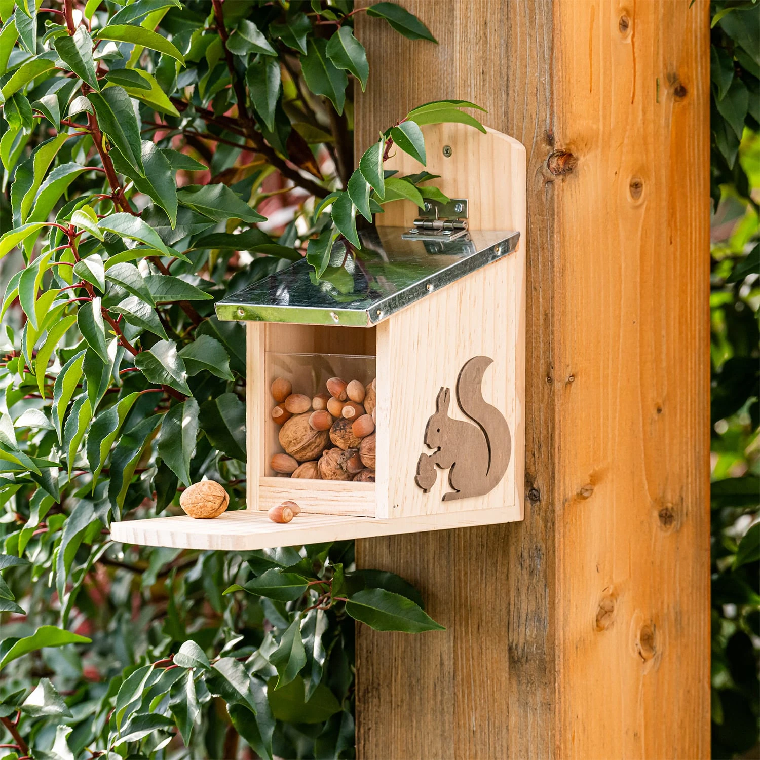 Futterhaus Für Eichhörnchen Metalldach Kiefernholz Unbehandelt 4 Futterhaus Für Eichhörnchen Metalldach Kiefernholz Unbehandelt – Bild 2