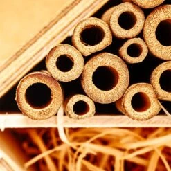 Bambusröhrchen 70 Stück Je 15 Cm Länge Holzfarben -Gartenbedarf Geschäft 10038148 yy 0006 logo