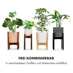 Zeist Pflanzenhalter 2 Höhen Kombinierbar Steck-Design Naturbelassen 15 Zeist Pflanzenhalter 2 Höhen Kombinierbar Steck-Design Naturbelassen -Gartenbedarf Geschäft 10038455 de 0006 logo