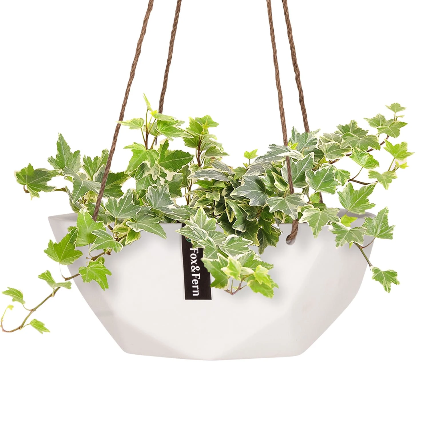 Laren Blumenampel Ø 28 Cm Polystone Mit Naturseilen 3 Laren Blumenampel Ø 28 Cm Polystone Mit Naturseilen