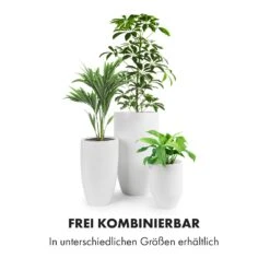 Almere Blumentopf Faserstein Pflanzenfreundlich Handgemacht Konisch 14 Almere Blumentopf Faserstein Pflanzenfreundlich Handgemacht Konisch -Gartenbedarf Geschäft 10038504 de 0006 logo