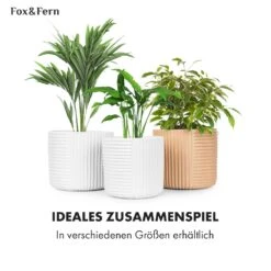 Hasselt Blumentopf Polystone Pflanzenfreundlich Handgemacht 3D-Optik -Gartenbedarf Geschäft 10038548 de 0006 usp