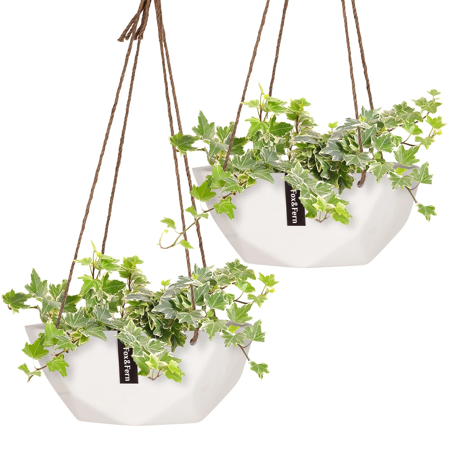 Laren Blumenampel Ø 28 Cm Polystone Mit Naturseilen 2er-Set 3 Laren Blumenampel Ø 28 Cm Polystone Mit Naturseilen 2er-Set