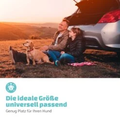 Rocky Hundeautositz Polyester Anschnallgurt Faltbar Flexibel -Gartenbedarf Geschäft 10039048 de 0006 logo